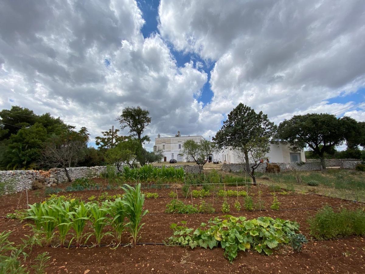 세글리에 메사피카 Masseria Cervellera 아파트 외부 사진