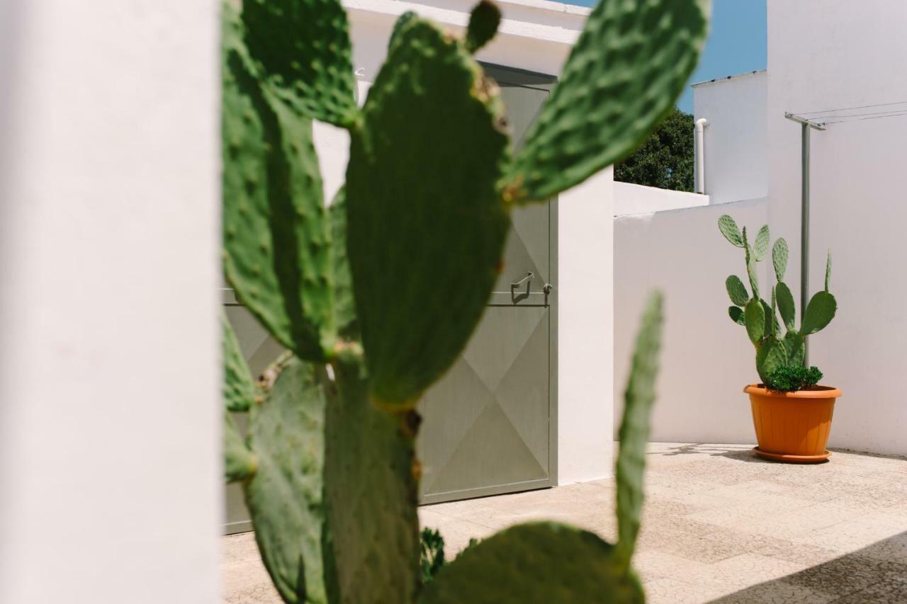 세글리에 메사피카 Masseria Cervellera 아파트 외부 사진