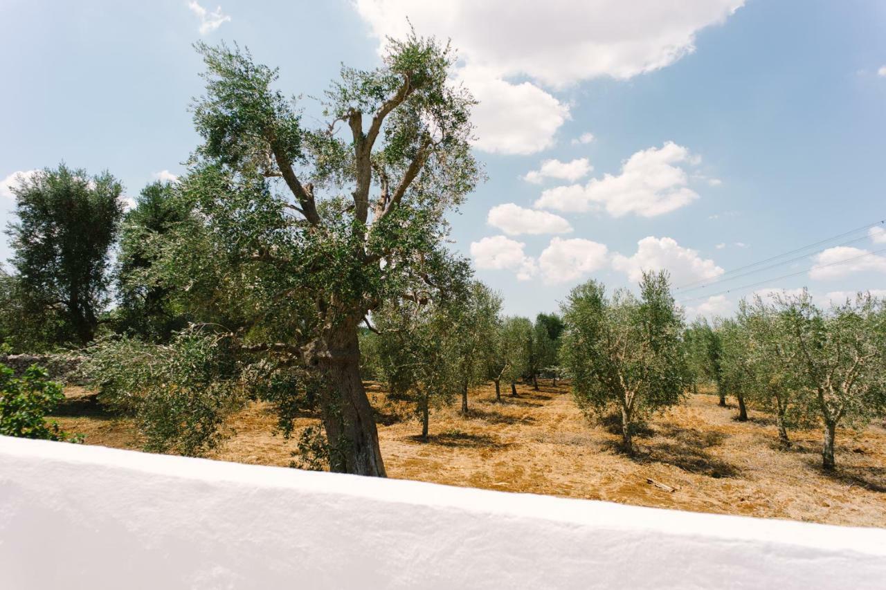 세글리에 메사피카 Masseria Cervellera 아파트 외부 사진